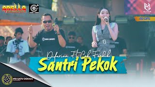 DIFARINA Ft CAK FENDIK - SANTRI PEKOK (LIVE ADELLA X CUMI CUMI AUDIO) || PEMUDA CURAHJATI BERSATU