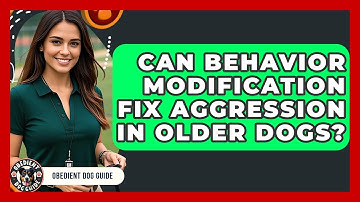 Can Behavior Modification Fix Aggression in Older Dogs? | Obedient Dog Guide