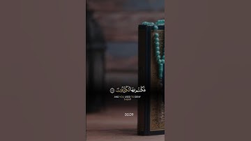 شيخ ياسر الدوسري | تلاوة القرآن الكريم ❤️🎧 #ياسر_الدوسري #القرآن_الكريم #قرآن #اكسبلور #الله #تلاوات