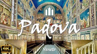 PADUA (Padova) - Italy 🇮🇹 [4K video]