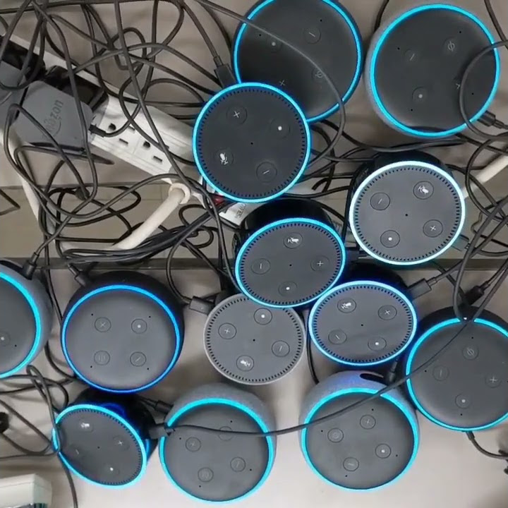 Alexa farts on multiple echos