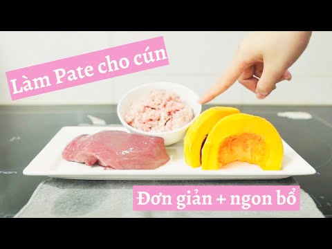 Làm Pate thịt heo tại nhà cực đơn giản + ngon bổ cho Xù Poodle | Xu Story | MuunXu Vlog