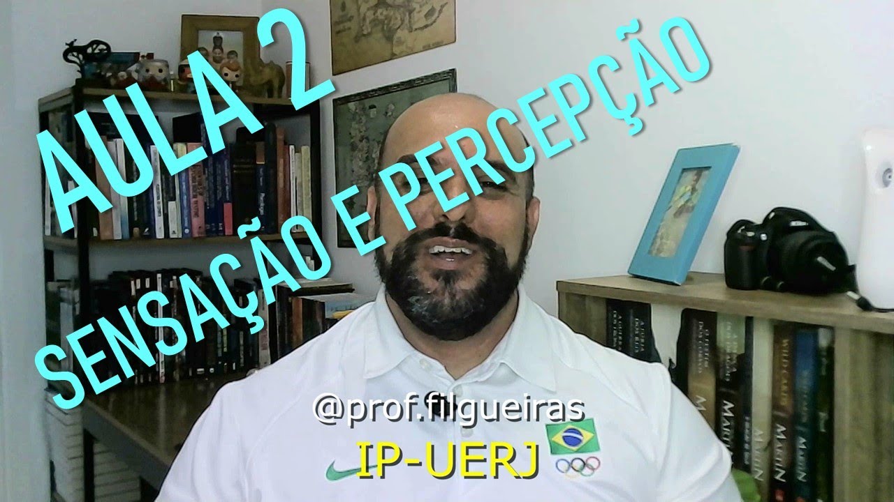 Sensação e Percepção: Aula 2 - Psicologia e Processos Básicos I (UERJ)