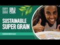 Trying Means Courage: Sustainable Super Grain