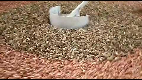 Peanut  round grader machine made by perfect technology