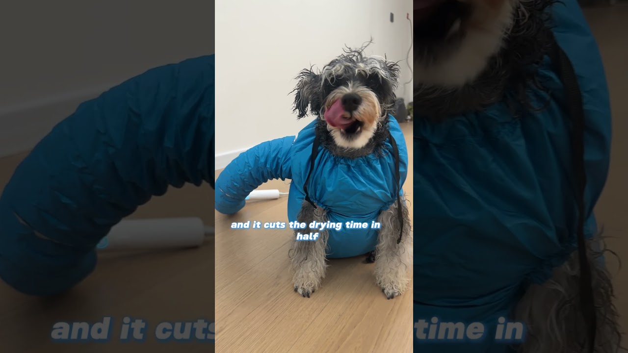 Transform stressful dog baths into a calm, easy routine with a dog drying bag.