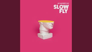 Video thumbnail of "Slowfly - My Answer's No (Instrumental Version)"