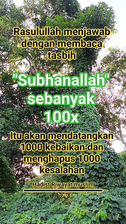 #shorts #subhanallah #rasulullah #generasiquraniyangkuatdanamanat #quotes #motivation #nasehat