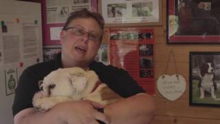 Julie - C Four Paws Staff Profiles