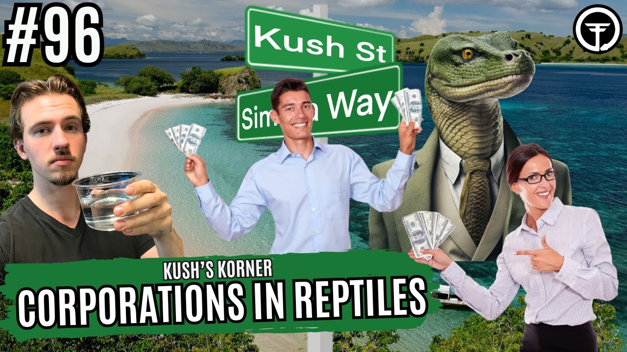 Corporate Involvement In Reptile Industry: Good Or Bad? | Kush's Korner Live