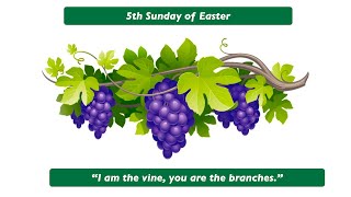 I am the vine; you are the branches.  Homily for the 5th Sunday of Easter, Year B.