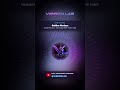 Golden Horizon · Summer House · Vibron Lab #Shorts