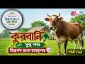 কুরবানি : সুস্থ পশু, নিরাপদ মাংস ব্যবস্থাপনা | নিরাপদ খাদ্য ও সুস্থ্য জীবন | EP-09 | BSSF | GTV