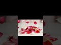 When Petals Come Alive 🦋✨