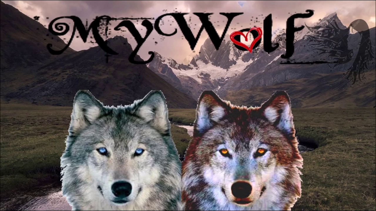 My Wolf (the love story) - Just Criminal - YouTube