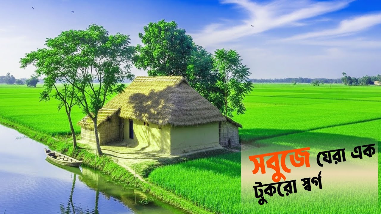 ছবির মতো সুন্দর আমাদের গ্রাম | ধান ক্ষেত আর নদীর মায়া |Natural With Jubayer