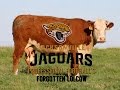 The Jacksonville Jaguars: Professional Football's Forgotten Lolcow