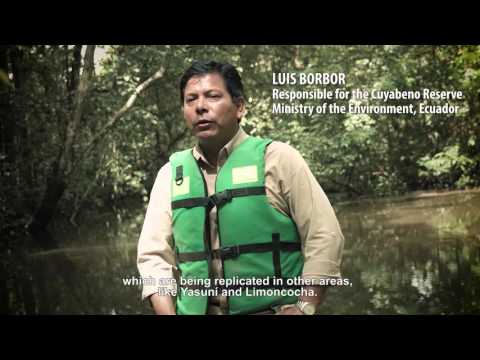 Sustainable Tourism In The Ecuadorian Amazon