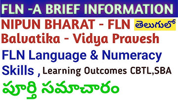 FLN A BRIEF INFORMATION#FLN#WHAT IS FLN#NIPUN BHARAT#BALVATIKA#VIDYA PRAVESH#SBA#