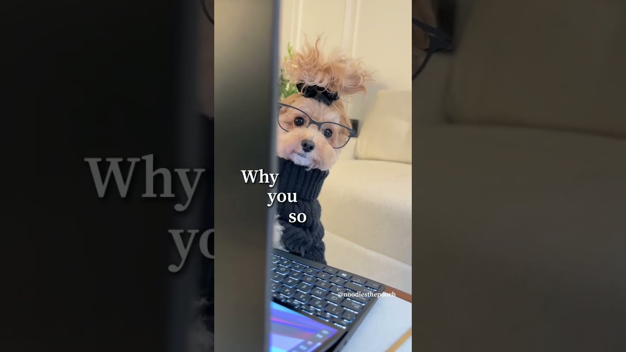 When You Request PTO Noodlesthepooch Officehumor Shorts Funny Boss