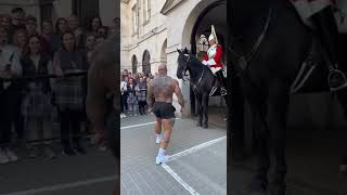 Please Respect the Guard and the King’s Horse