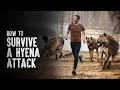 How to Survive a Hyena Attack