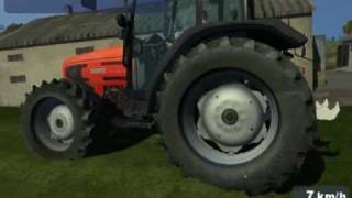 MAIS SILAGE 2010