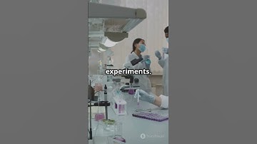 Empirical Research Methodology 101