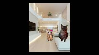 Arrumece Comigo Para Ir Para Escola Pt2?