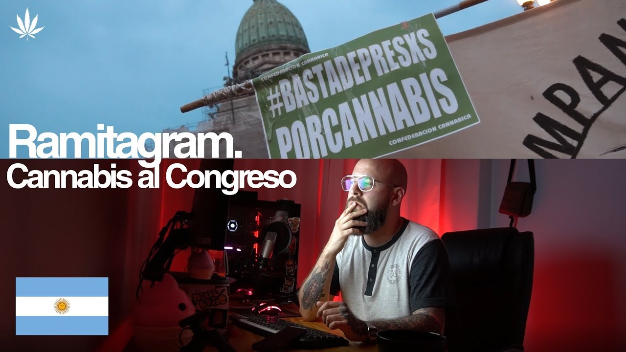 POR QUE LA MARIHUANA NO ES LEGAL EN ARGENTINA ? | Marcha Cannabis al congreso NOV 2019