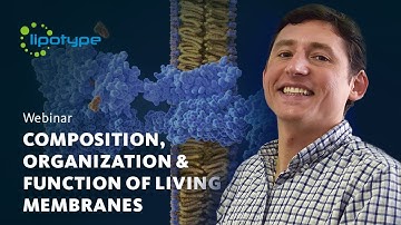 Composition, Organization and Function of Membranes | with Ilya Levental | The Lipidomics Webinar