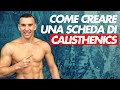 Creare una Scheda di Calisthenics per Front Lever e Planche