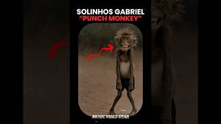 Punch Monkey 🐵 Solinhos Gabriel Pasa