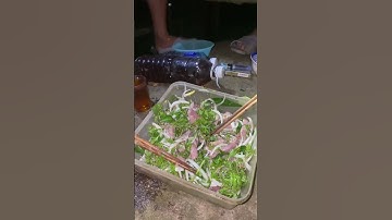 Bữa cơm đạm bạc giữa rừng!