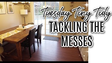 *NEW* QUICK TUESDAY TINY TIDY | TIDY WITH ME | QUICK DECLUTTER & CLEAN #teamtinytidy