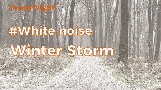Winter Storm | White Noise for Sleeping, Studying
