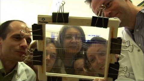 Bertrand Séraphin & Guillaume Rigaut - Method for purifying biomolecule or protein complexes