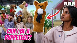 Pup School Puppet Challenge