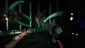 Adding a Safety Cage in the Dead Zone to Watch Void Chelicerates in Subnautica: Below Zero