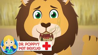 Tau the Lion | Doctor Poppy - Animals For Kids | Cartoon Animals