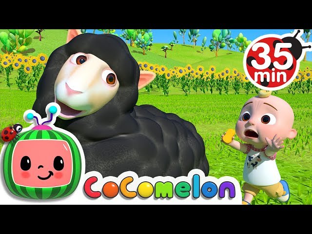 Baa Baa Black Sheep + More Nursery Rhymes u0026 Kids Songs - CoComelon class=
