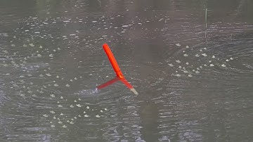 Xả Có Nắm Cám Cả Bầy Cá Trê Khủng Quấn Ổ Quậy Đục Nước Kéo Chìm Lút Phao Liên Tục