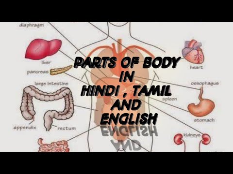 Body Parts Tamil And English : Body Parts Tamil Name Basic Level Part 7