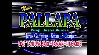 TEMAN BIASA LUSIANA SAFARA NEW PALLAPA (lagu lawas) classic