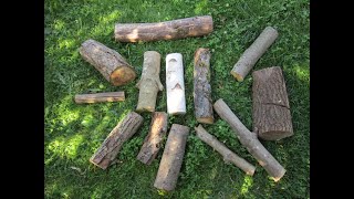 les meilleures essences de bois de chauffage pour poêles, inserts et cheminées ouvertes