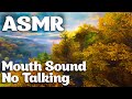 ASMR MOUTH SOUND NO TALKING - RELAXING ASMR FOR SLEEP 30 minutes