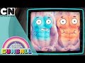 The amazing world of gumball  bobert system upgrade  cartoon network