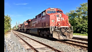 CP Train 101 (8/31/19)