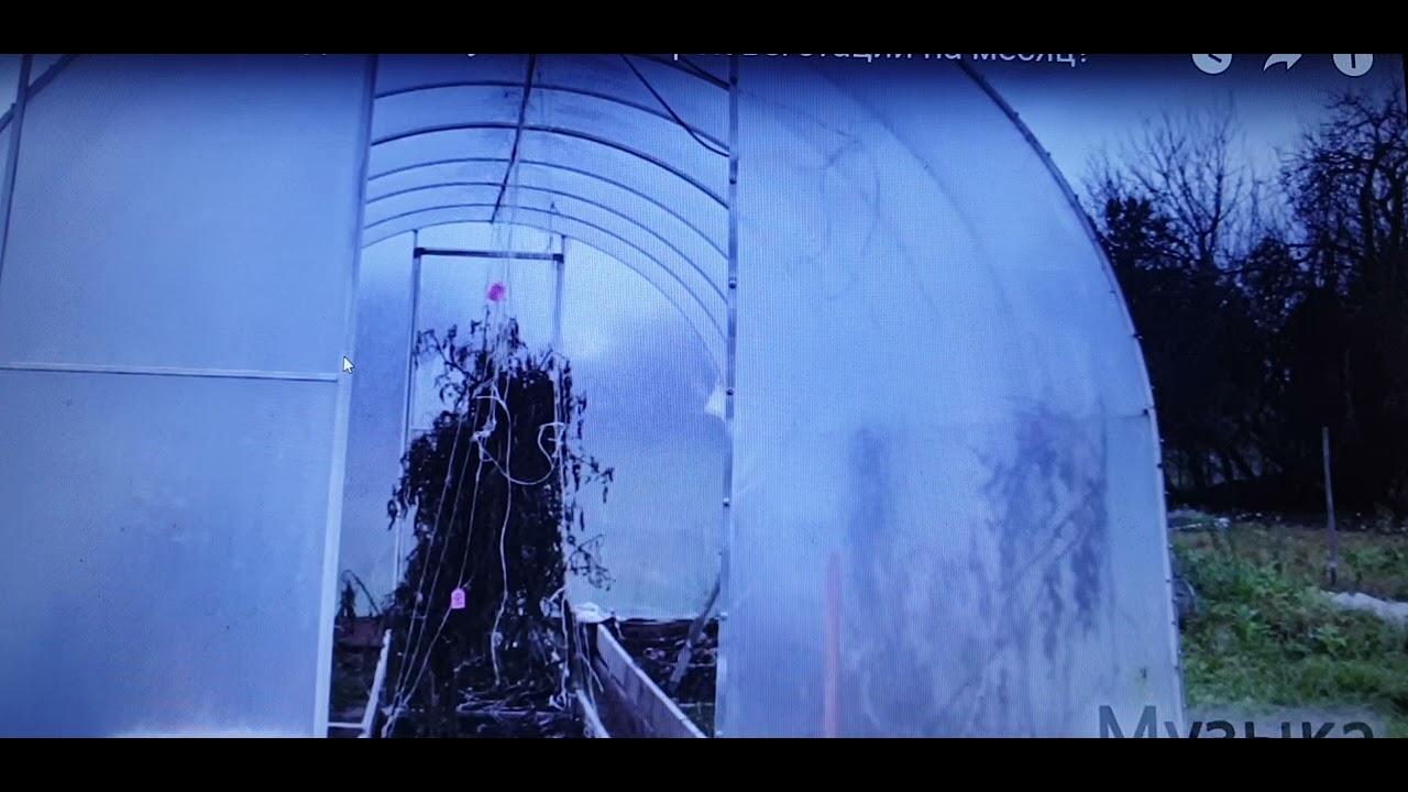 Пеноплекс пеноплексович опять несет дичь - YouTube