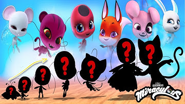 Miraculous Ladybug Kwamis Growing Up Compilation | Cartoon Wow